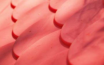 Bean plastic roof costs