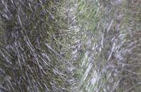 Bean fibreglass roof work